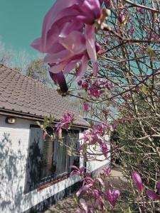 HottuB - Wellnesshuisje - Bos - Oudveluwe
