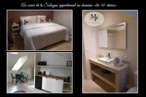 Appartement au Domaine "Les 40 Chênes" - 萨勒布里