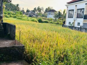 Nia cahya ubud villa
