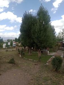 Toko Mayu piedras blancas