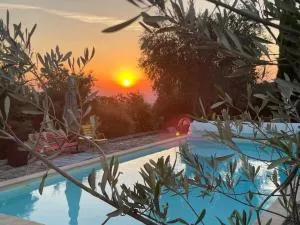 Le Planzollais - Dompnac