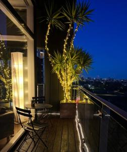 Burgess Park Penthouse