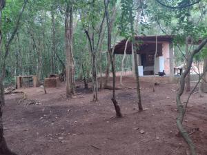 Sítio águas claras