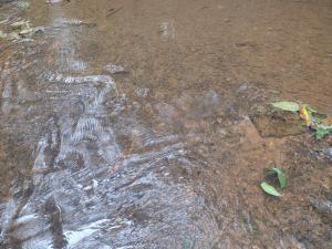 Sítio águas claras