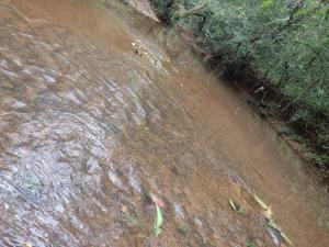 Sítio águas claras