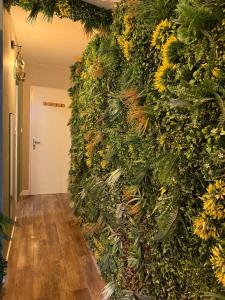 Appartements Le Jungle : photos des chambres