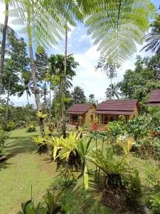 D'Jungle Eco Stay - 贾蒂卢维