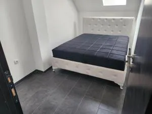 Crassula Lux - Dobanovci