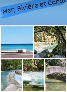 Appartements Le Figuier de Saint Ce Jardinet Terrasse Vue : photos des chambres