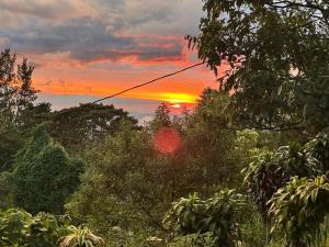 Mountain Chalet with Valley View