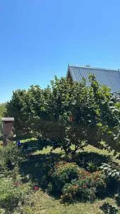 Vikendica Harbaš - Mutnik