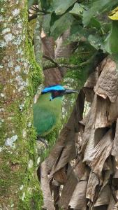 Finca El Tesoro Escondido