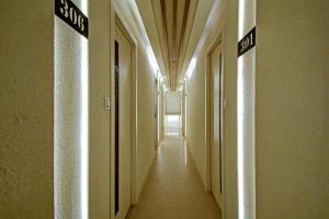 Super Collection O Snowfox