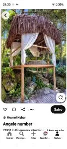 ORLANDO CITY PARK área de camping - Touros