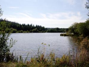 Gîte au calme avec terrasse, cheminée et pêche à proximité, animaux acceptés. - FR-1-496-225
