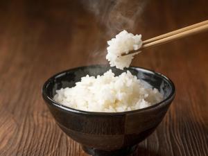 Kurobe Unazukionsen Yamanoha