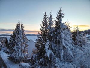 Appartements Appartement calme avec parking a Super Besse - FR-1-814-92 : Appartement