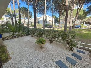 Charmant T3 à 50m de la plage, Argelès-sur-Mer - FR-1-388-234