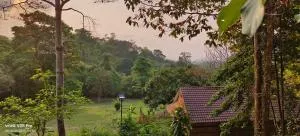 Tree Guest House kep - 白马市