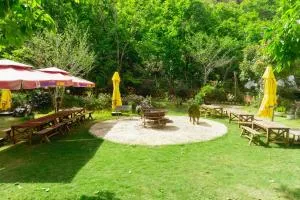 Vườn Hồng Lê Phúc - Ấp Trạm Hành