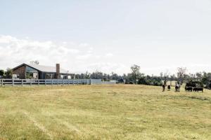 A Farmhouse escape 15 minutes from Launceston