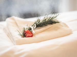 Paradeis Apartments A19