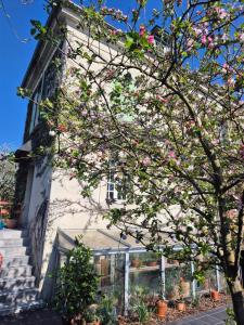 Sejours chez l'habitant Maison proche de la gare : photos des chambres