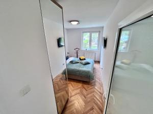Cozy and comfortable apartment