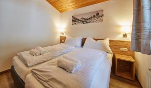 Delfi Ski & Bike Apartments
