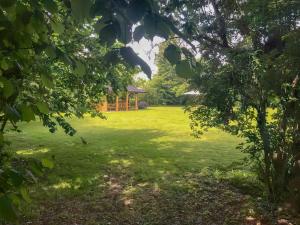 Ash - Uk49524