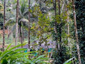 Cardamom Garden Homestay Meppadi Wayanad