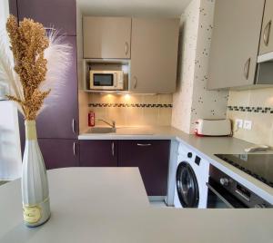 Appartements Le Salluste cosy T2 with balcony in Strasbourg : photos des chambres