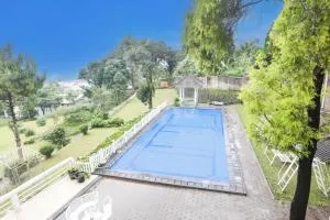 Dancenter Bogor Puncak Near Gunung Mas - Sampal 2