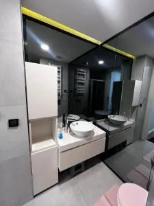 Toya next - 巴斯克希尔