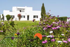 #314 T2 Serenity by Home Holidays
