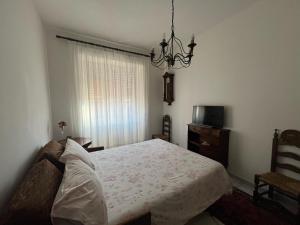 corte degli ulivi in roma