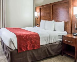 King Suite - Disability Access - Non -Smoking room in Comfort Suites Research Park - University
