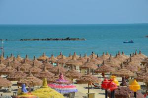 Casa vacanza Alba Marina 2