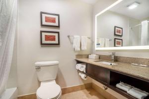 King Room - Non-Smoking room in Comfort Inn & Suites Lake Norman