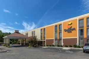 Comfort Inn Laurinburg - Hamlet