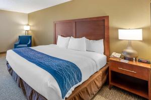King Room with Accessible Tub - Accessible/Non-Smoking room in Comfort Inn Elizabeth City near University