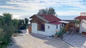 Leondario - Лендас