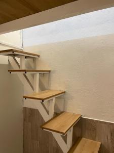 Alphabet Home Capsule