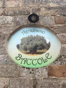 Agriturismo Baccole