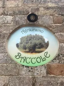 Agriturismo Baccole - Giuliano