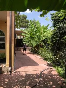 Secret Garden - Dushanbe