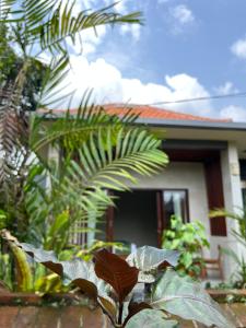 1BR in Hidden Ubud House #west