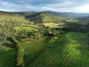 A Mandria di Murtoli - 皮亚诺托利-卡尔达雷洛