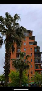 კომფორტული ბინა ცენტრში