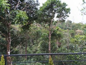 Heaven Meadows Homestay Vagamon